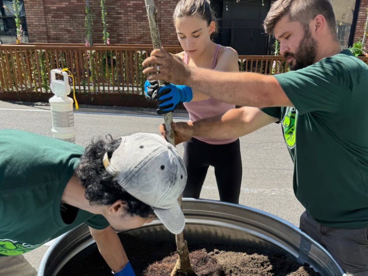 Volunteers planting trees